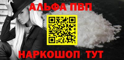 jwh Кингисепп