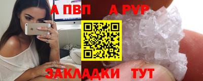 jwh Кингисепп