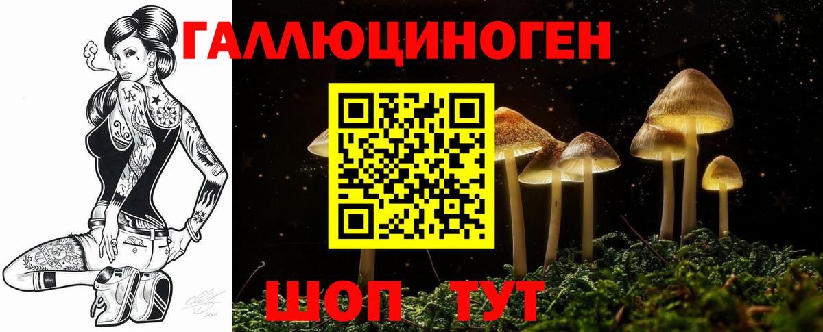 Комсомольск-на-Амуре  Псилоцибиновые грибы мухоморы  Вход с VPN  Псилоцибиновые грибы прущие грибы 